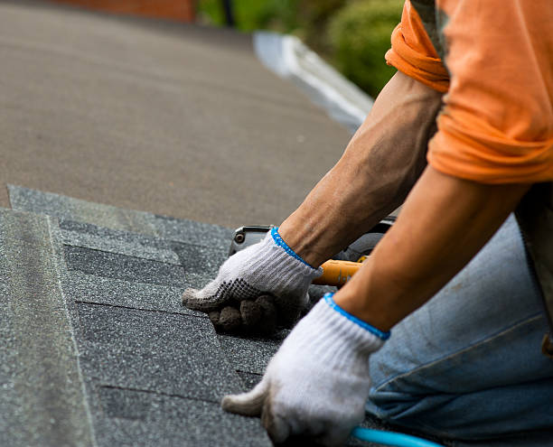 Roof Gutter Cleaning in South Fallsburg, NY